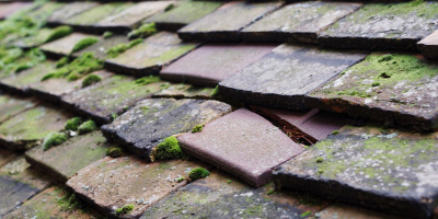 Ilmington roof repair costs